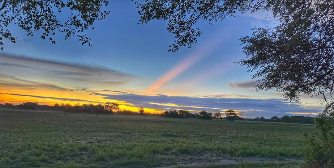 Sunset over the Linyanti floodplain, framed by tree branches